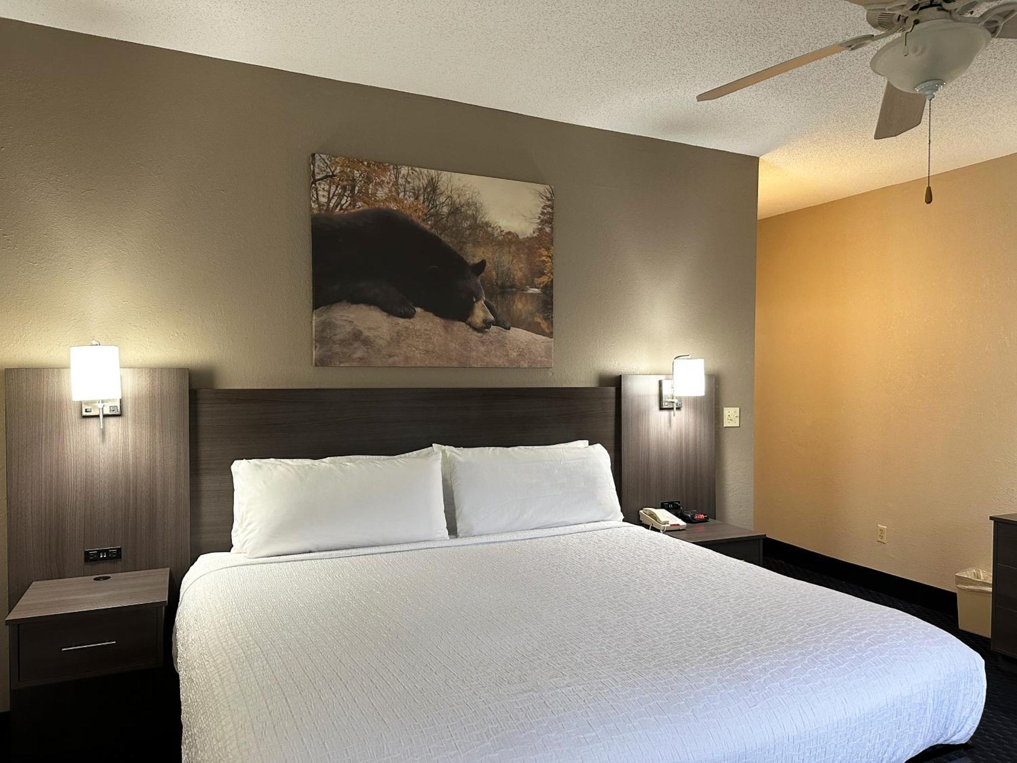 Sidney Mountain 3* Gatlinburg